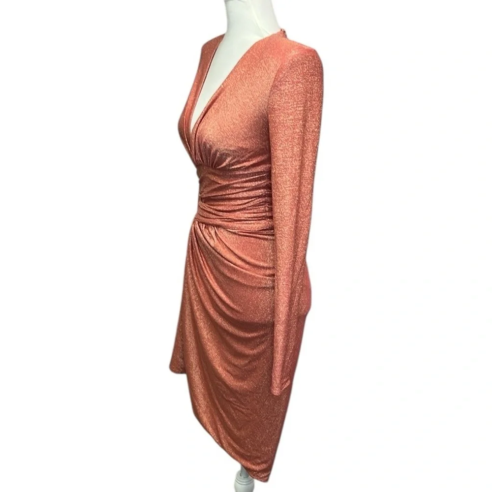 Alexandre Vauthier Elegant Long Sleeve Dress - Picture 6 of 8
